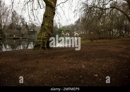 London, Großbritannien. 25. Januar 2023. Britische Wettervorhersage, nebeliger Morgen im St James Park London. Gutschrift: Ian Davidson/Alamy Live News Stockfoto