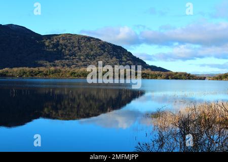 Üppige und grüne Purple Mountains spiegeln sich an einem klaren Wintertag im Muckross Lake wider Stockfoto