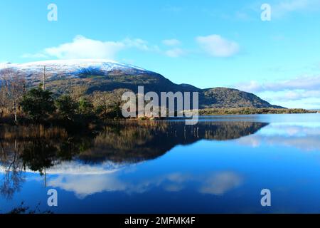 Im Winter spiegeln sich am sonnigen Nachmittag die schneebedeckten Purple Mountain und Tomies Mountain im Muckross Lake wider - Killarney National Park, Co Kerry, Irland. Stockfoto