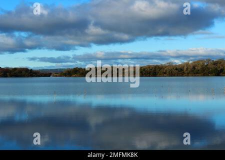 Stille an einem Wintertag. In den ruhigen Gewässern des Muckross Lake, Ring of Kerry, Irland, spiegeln sich Wolken mit Unterbrechungen wider Stockfoto