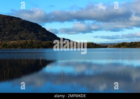 Irland County Kerry Schöne Moddy Winter Landschaft Stockfoto