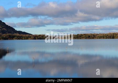 Muckross Lake, Killarney National Park, Irland im Winter Stockfoto