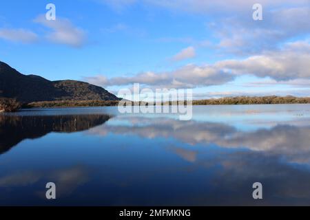 Muckross Lake, Killarney-Nationalpark, Irland Stockfoto