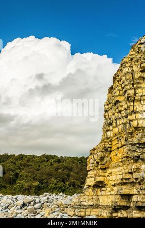 The Cliff Edge at Llantwit Major oder Colhugh Beach an der Glamorgan Heritage Coast, South Wales im September Stockfoto