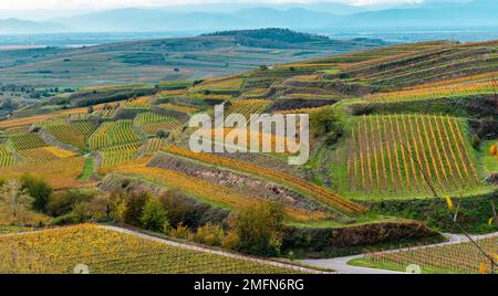 Herbstfarbene Weinberge im Kaiserstuhl Deutschland Stockfoto