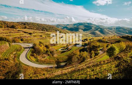 Herbstfarbene Weinberge im Kaiserstuhl Deutschland Stockfoto