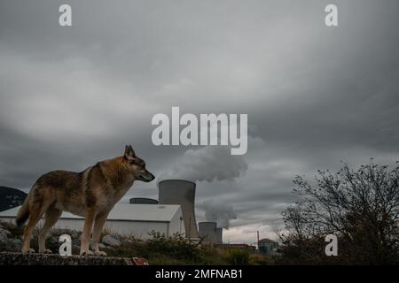 Blick auf das Kernkraftwerk Cruas von Meysse Stockfoto