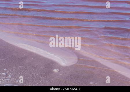 Pink Salt Lake in Salin d'Aigues-Mortes, Südfrankreich Stockfoto