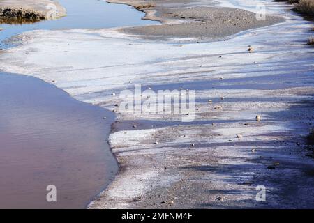 Pink Salt Lake in Salin d'Aigues-Mortes, Südfrankreich Stockfoto