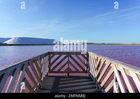 Pink Salt Lake in Salin d'Aigues-Mortes, Südfrankreich Stockfoto