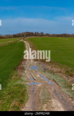 Pfützen auf einem Landweg in Sussex an einem sonnigen Wintertag nach Regen Stockfoto