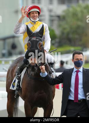 Rennen 5, TAMRA BLITZ, geritten von Hugh Bowman, gewann die Klasse 4 über 1400m(Turf) in Sha Tin. Douglas Whyte feierte seinen Sieg. Januar 23 SCMP/Kenneth Chan. Stockfoto