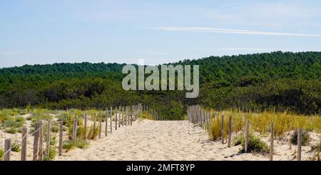 Malerisches Dünen-Panorama bei hellen Sommertagen mit Blick auf den Pinienwald am Lacanau Ocean Beach Stockfoto