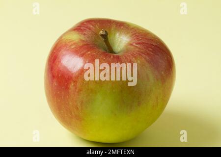 Nahaufnahme eines Braeburn-Apfels auf einem einfachen Hintergrund Stockfoto