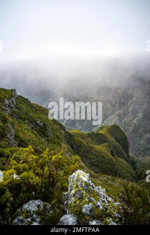 Nebel in den Bergen, Achada do Teixeira, Madeira, Portugal Stockfoto