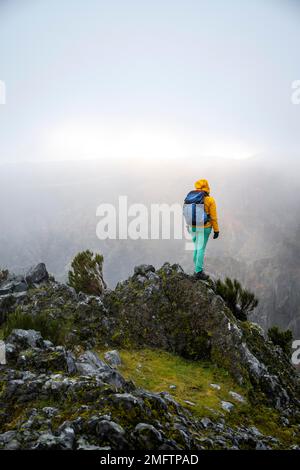 Wandern, Nebel in den Bergen, Achada do Teixeira, Madeira, Portugal Stockfoto