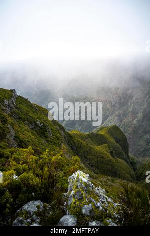 Nebel in den Bergen, Achada do Teixeira, Madeira, Portugal Stockfoto