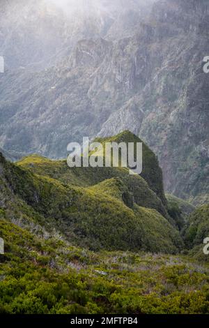 Nebel in den Bergen, Achada do Teixeira, Madeira, Portugal Stockfoto