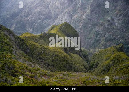 Nebel in den Bergen, Achada do Teixeira, Madeira, Portugal Stockfoto