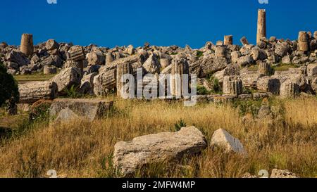 Tempel des F, antike griechische Siedlung Selinunte, Sizilien, Selinunte, Sizilien, Italien Stockfoto