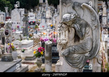 Kunstvolle Gräber im Kinderbereich auf dem Friedhof Cimitero Monumentale di Messina. Stockfoto