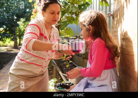 Eine wunderschöne, multiethnische Frau, eine glückliche Mutter, die mit ihrer reizenden kleinen Tochter Setzlinge anpflanzt, in einem wunderschönen Frühjahr im Allotationsgarten Stockfoto