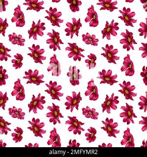 Aquarell handgezeichnete cosmea-Blume nahtloses Muster in trendy Farbe Viva Magenta. Auf weißem Hintergrund isolierte Elemente Stockfoto