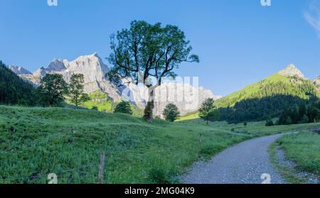 Die Morgenwände des Karwendelgebirges - Wände der Spritzkar-spitze und Grubenkar-spitze von enger Tall - Grosser Ahornboden-Walley. Stockfoto