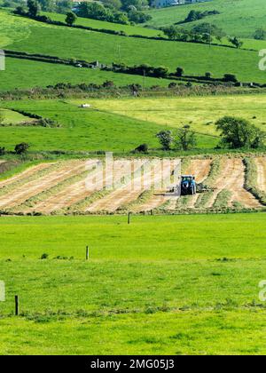 Ein Traktor wendet das Gras auf dem Heufeld auf einer Feder. Landwirtschaftliche Arbeiten auf einem Bauernhof in Irland. Landschaftsbau. Grünes Grasfeld Stockfoto