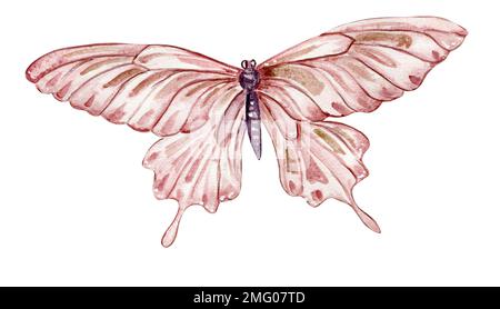 Aquarelle farbenfrohe Schmetterlinge, isoliert auf weißem Hintergrund. Frühlingsbild Tawny Orange Monarch Butterfly. Süßes, handgemaltes Märchen Stockfoto