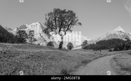 Die Morgenwände des Karwendelgebirges - Wände der Spritzkar-spitze und Grubenkar-spitze von enger Tall - Grosser Ahornboden-Walley. Stockfoto