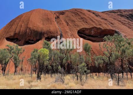 445 riesige Höhlenlöcher im felsigen Hang des Uluru-Ayers Rock gegenüber dem südöstlichen Abschnitt des Base Walk. NT-Australien. Stockfoto
