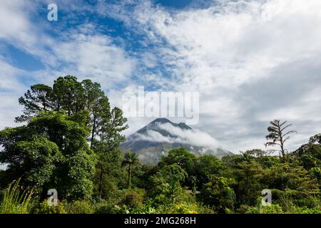 Vor- und Nebenwälder umgeben den Vulkan Arenal in der Arenal Volcano Observatory Lodge, den Nationalpark Arenal Volcano, Alajuela, Costa Rica. Stockfoto