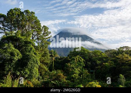 Vor- und Nebenwälder umgeben den Vulkan Arenal in der Arenal Volcano Observatory Lodge, den Nationalpark Arenal Volcano, Alajuela, Costa Rica. Stockfoto