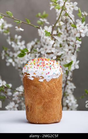 Traditioneller Osterkuchen mit weißem Baiser, dekoriert mit Zucker oder süßem Brot, blühenden weißen Kirschzweigen, Vorderansicht. Freier Kopierspeicher. Stockfoto