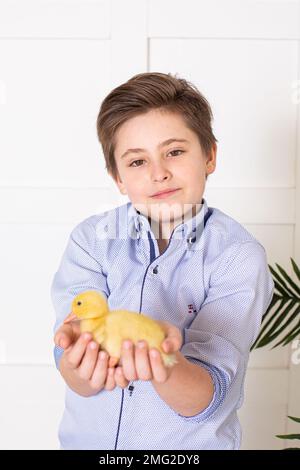 Süße Kinder, Junge, die mit Enten spielen Stockfoto