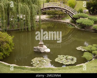 Mondbrücke über den Teich im Japanischen Garten, Huntington Botanical Gardens, San Marino Stockfoto