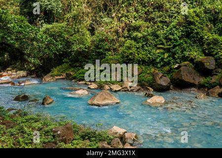 Der unverkennbar türkisfarbene Rio Celeste (himmelblauer Fluss) im Tenorio Volcano National Park. Stockfoto