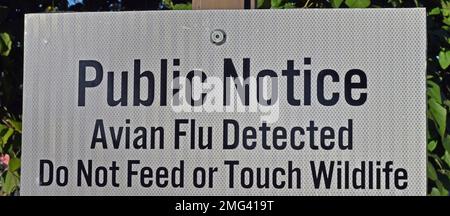 Vogelgrippe entdeckt, bitte nicht füttern oder berühren Sie Tiere, öffentliches Hinweisschild an einem Union City Civic Center Park Teich, Kalifornien Stockfoto