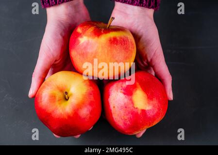 Drei frische rote Äpfel in Frauenhänden. Grüner Hintergrund. Stockfoto