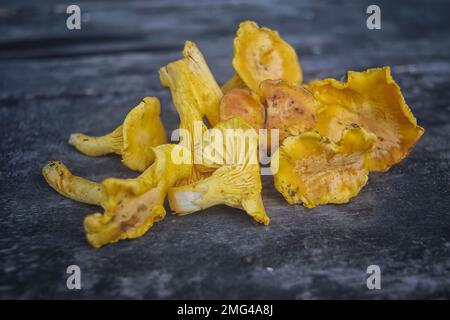 Essbare Pilze frisch gepflückt im Wald vor dem Hintergrund einer alten hölzernen Tischplatte. Stockfoto