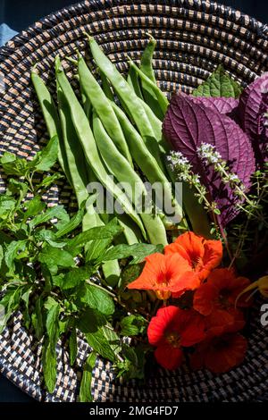 Geerntetes Gemüse, Kräuter und essbare Blumen im Korb Stockfoto