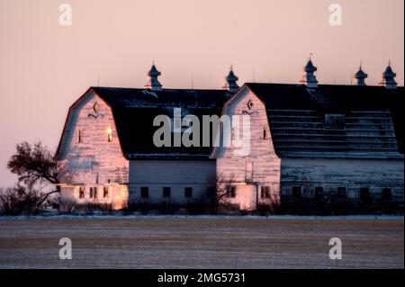 Doppelscheune Saskatchewan bei Moose Jaw Canada Stockfoto