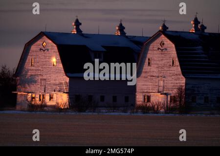 Doppelscheune Saskatchewan bei Moose Jaw Canada Stockfoto