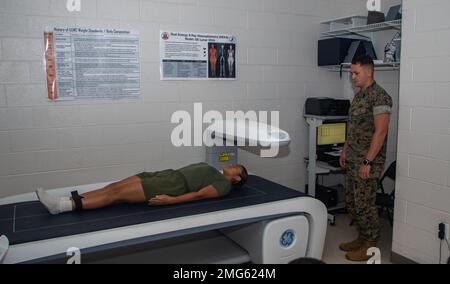 EIN US-AMERIKANISCHER Marine nimmt am 22. August 2022 an einer Bewertung der Körperzusammensetzung Teil, die mittels Dual-Energy-Röntgenabsorptiometrie-Scan an der Grundschule auf der Marinekorps-Basis Quantico, Virginia, durchgeführt wurde. Das Marine Corps änderte kürzlich die Standards für die Körperzusammensetzung, als Ergebnis einer einjährigen Studie des US Army Research Institute of Environmental Medicine. Die Studie bewertete aktuelle Methoden zur Beurteilung der Körperzusammensetzung, um sicherzustellen, dass Servicestandards Gesundheit, Leistung und Fitness optimieren. Ab dem 1. Januar 2023 werden die Einheiten des Marine Corps eine genauere und unvoreingenommenere Methode zur Beurteilung der Körperzusammensetzung anwenden Stockfoto