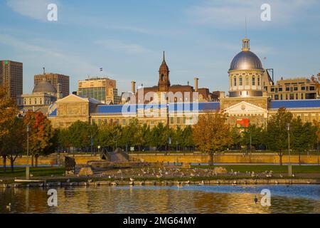 Bonsecours Markt und Becken bei Sonnenaufgang im Herbst, Old Montreal, Quebec, Kanada. Stockfoto