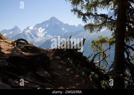 Die Gipfel von Aiguilles Verte und Petit Dru - Chamonix. Stockfoto