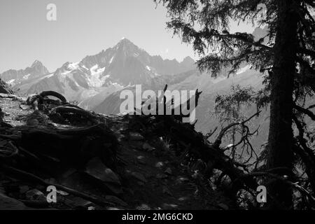 Die Gipfel von Aiguilles Verte und Petit Dru - Chamonix. Stockfoto