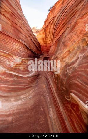 Man braucht eine Genehmigung für die Wanderung zum The Wave in der Paria Canyon/Vermillion Cliffs Wilderness in Utah und Arizona. Stockfoto