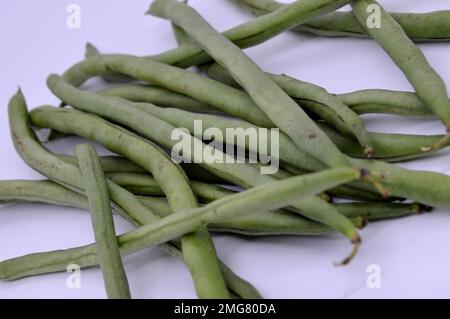 Grüne Bohnen Sind Unter Vielen Gängigen Namen Bekannt, Darunter Französische Bohnen, String Beans Und Snap Beans, Mit Ausgewähltem Fokus. Stockfoto